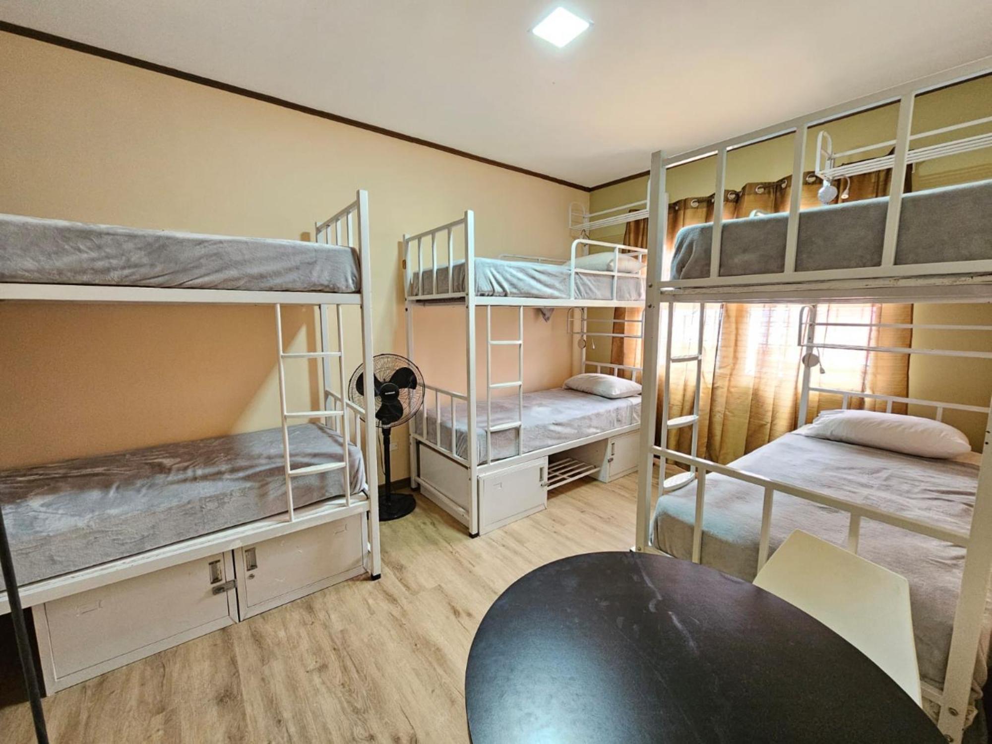 Hostel La Cali Inn サンホセ エクステリア 写真