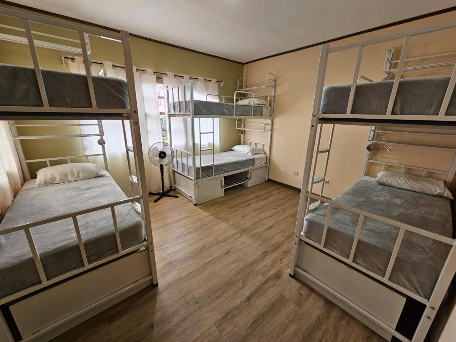 Hostel La Cali Inn サンホセ エクステリア 写真