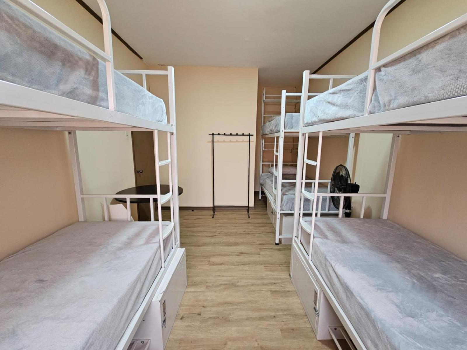Hostel La Cali Inn サンホセ エクステリア 写真