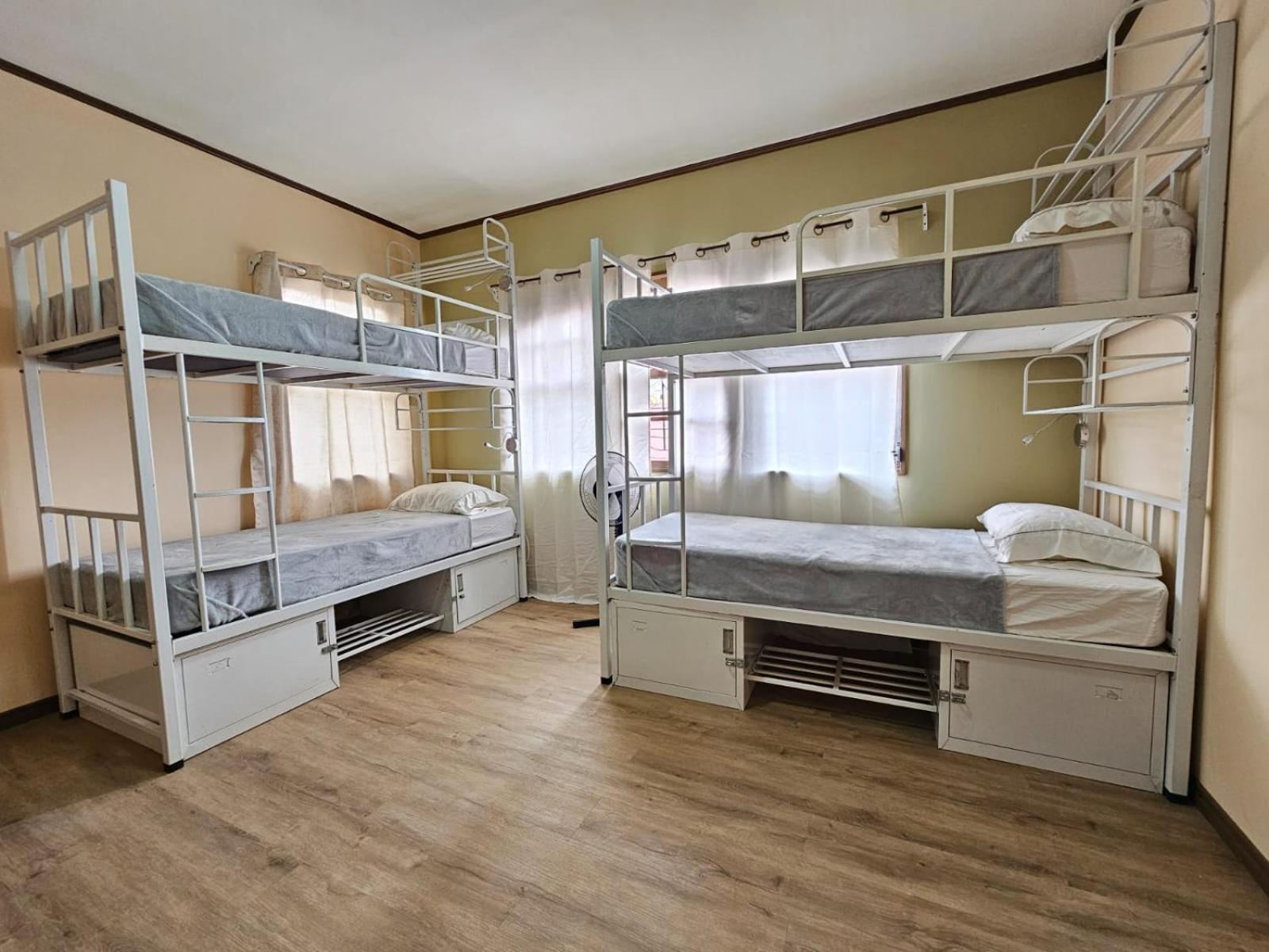 Hostel La Cali Inn サンホセ エクステリア 写真