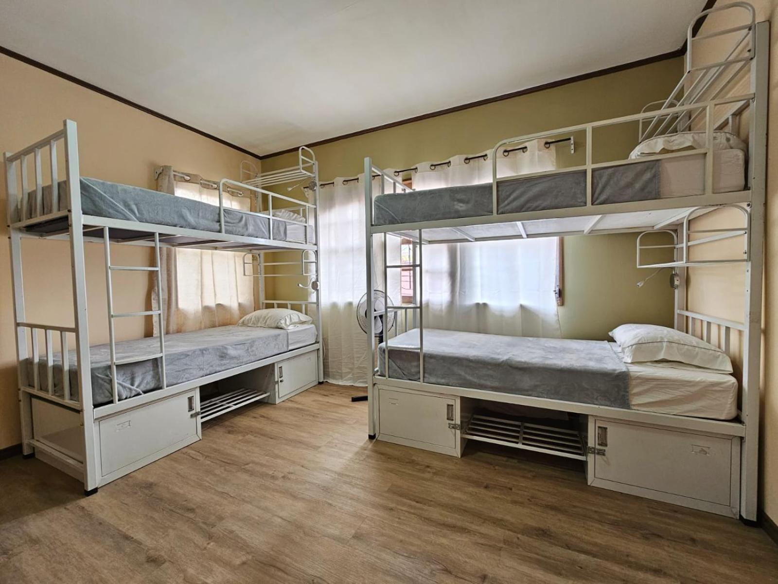 Hostel La Cali Inn サンホセ エクステリア 写真
